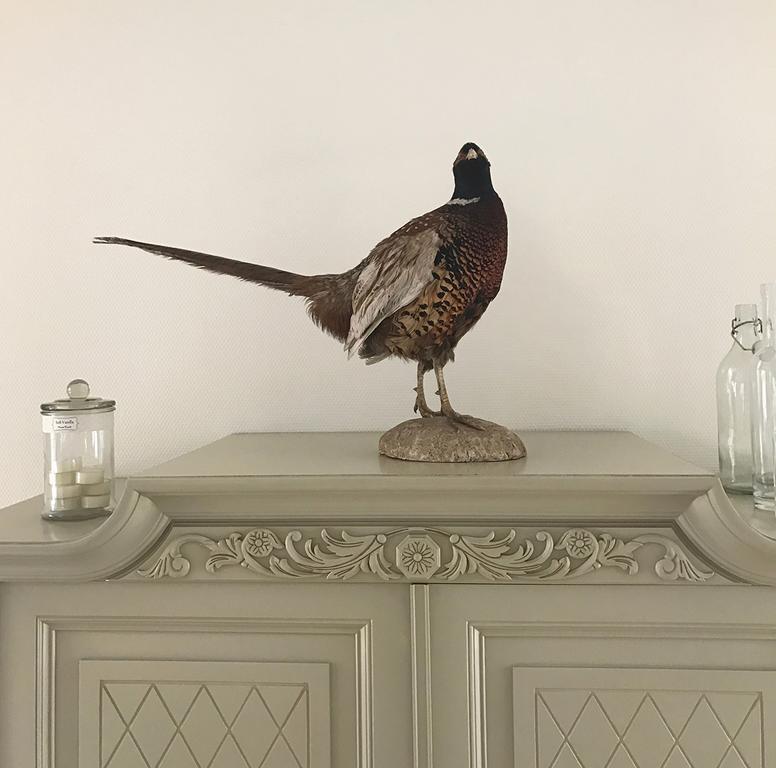 Vita Huset B&B Soelvesborg Bagian luar foto